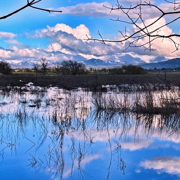 Meet your Posher, Vicki - Picture 1 of 1